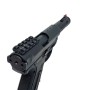 Ris trasero AAP-01